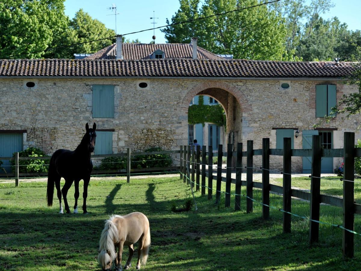 Chateau De L'Isle - Chambres D'Hotes Castelnau-de-Médoc Esterno foto